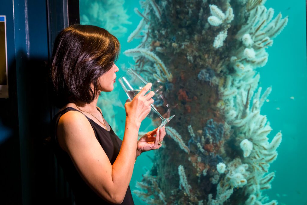 Someone drinking wine and looking at the coral in the Underwater Observatory