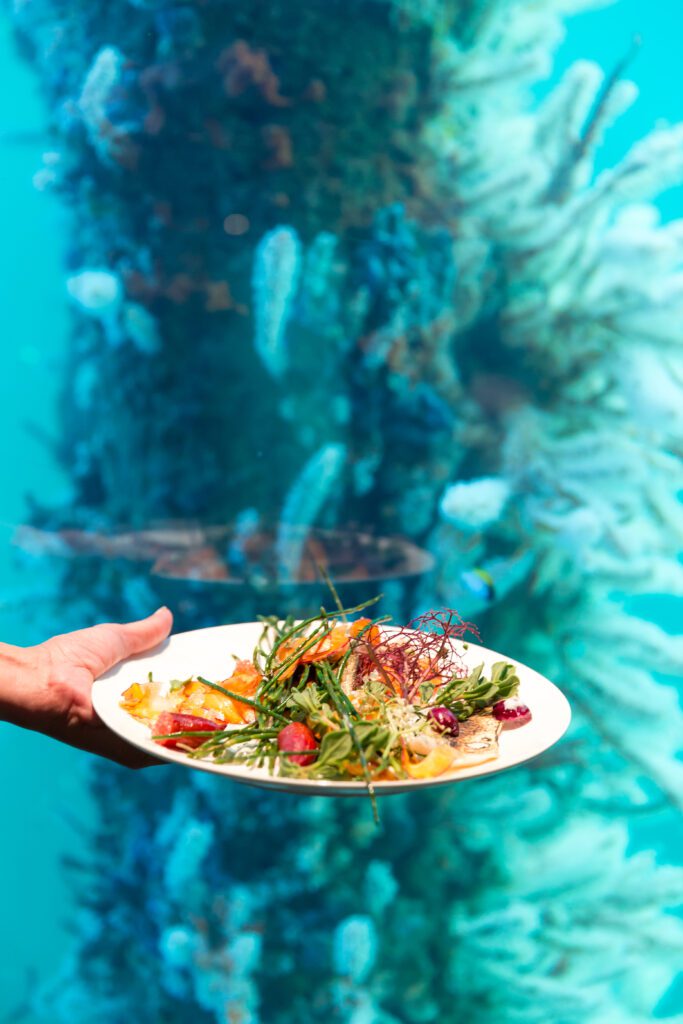 A plate of food with a window to coral in the background