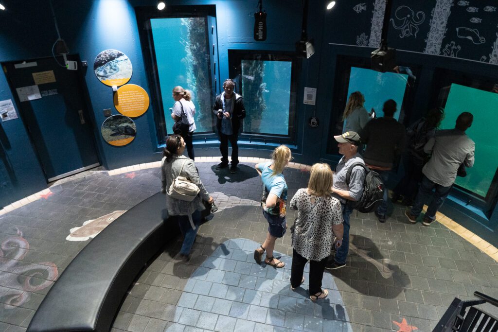 People looking through windows in the Underwater Observatory
