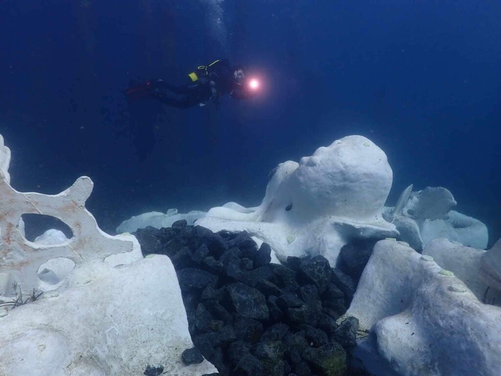 361277543_625416226352587_496264037269030231_n