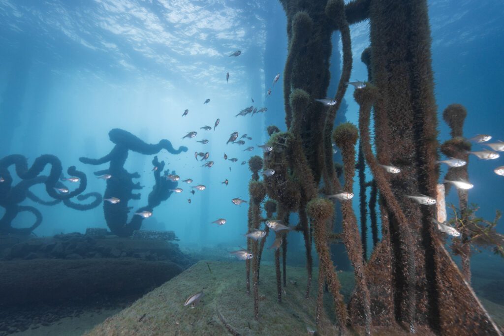 Busselton Jetty - A1 - SD2 - 10,10,23 (147)