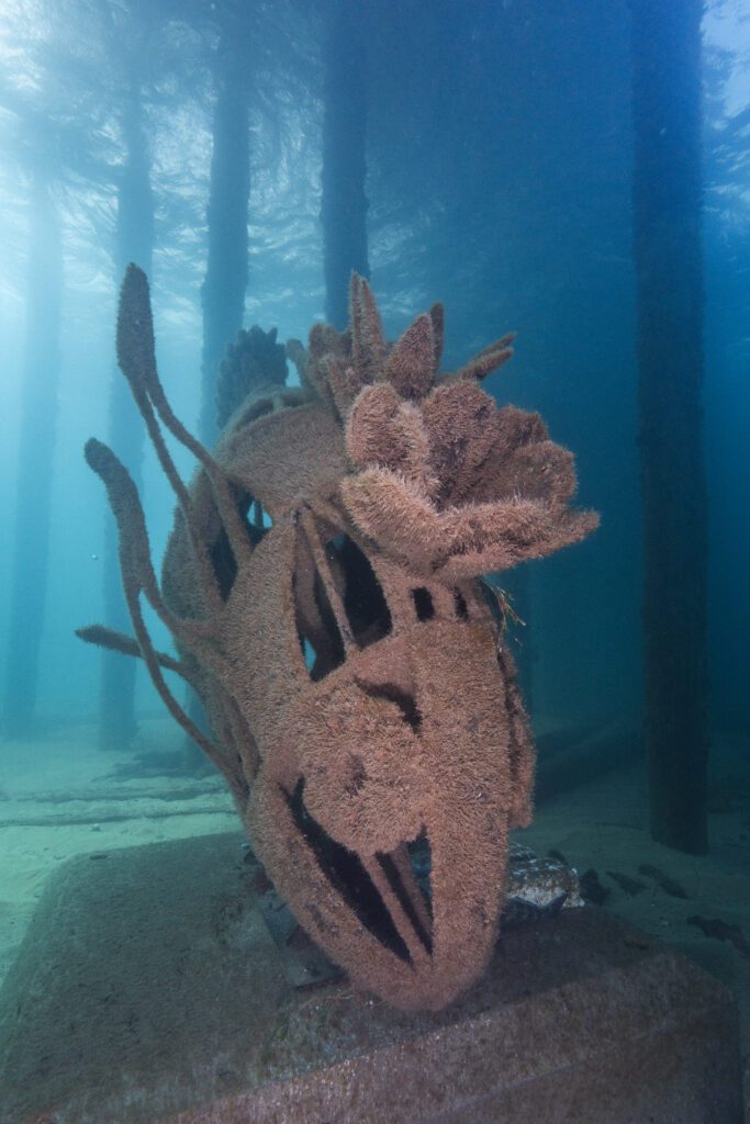 Busselton Jetty - A1 - SD2 - 10,10,23 (23)