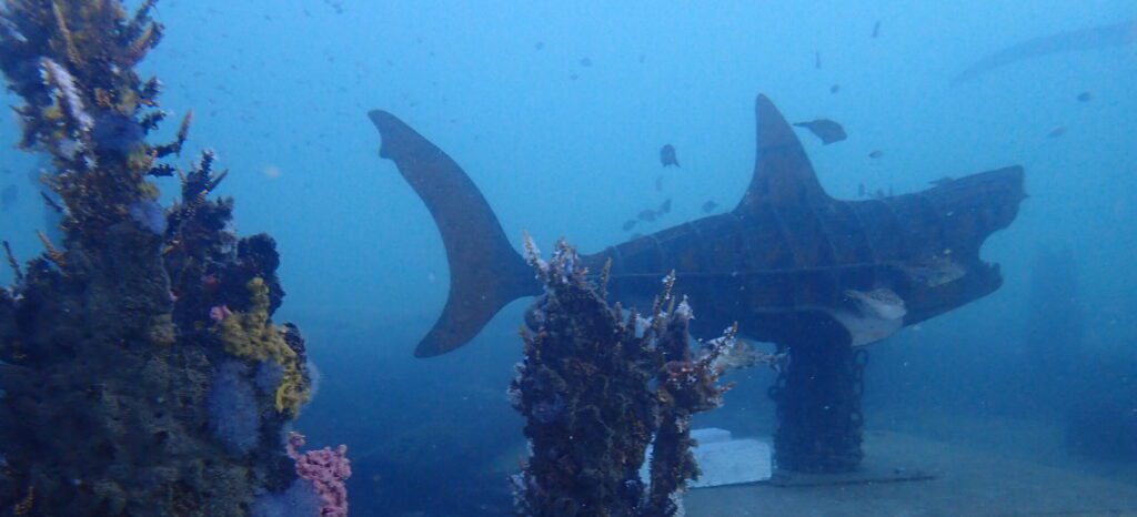 The Shark sculpture by ShoreGaze in its new home, 8m underwater at the end of the Busselton Jetty,
